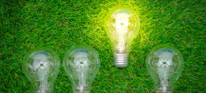 What options come with your knowledge base